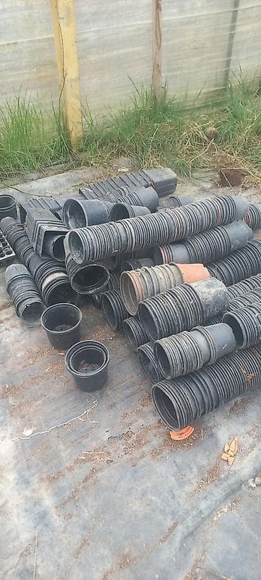 Çöl bitkiləri: Salam dekorativ bitkilər üçün plastik islenmis ve saglam istifadeye — 3