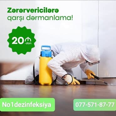 чистка мебели на дому: Дезинфекция, дезинсекция | Клопы, Блохи, Тараканы | Квартиры, Кафе, магазины, Дворы — 2