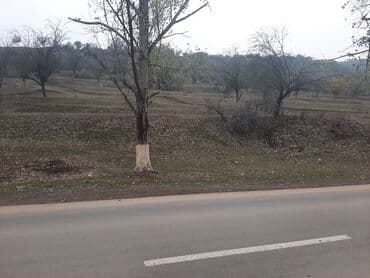 xacmazda torpaq qiymetleri: 24 sot, Mülkiyyətçi, Kupça (Çıxarış) — 9