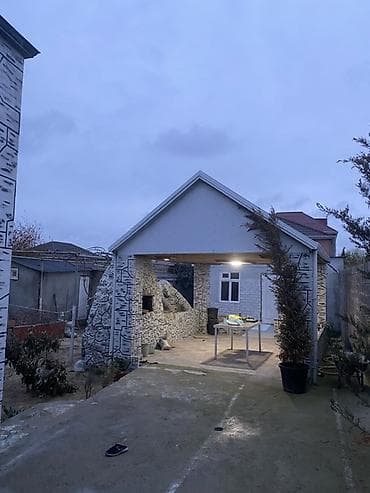 sekas agaci: Dekorativ bağ bitkiləri və landşaft tərtibatı üçün həllər - Qapalı — 7