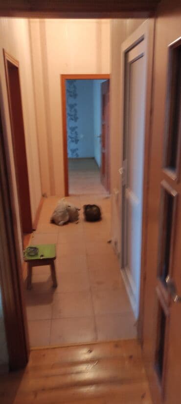 Kirayə mənzillər: Bineqedi Sentralnide 3mertebeli binanin2 ci mertebesinde2 otaqli ev — 2