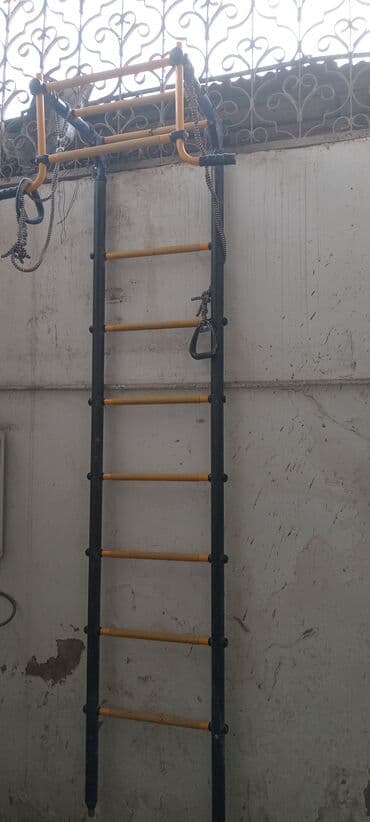 Divar tipli idman kompleksi – turnik və şved divarı - Material: metal