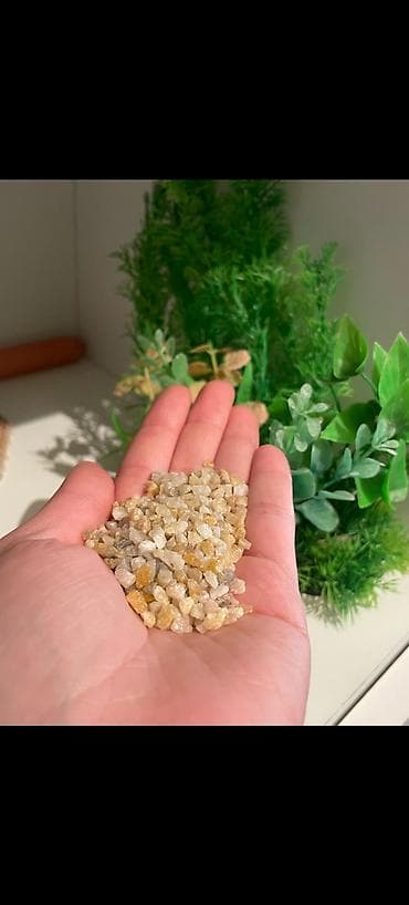 akvarium baki: Dördbucaq akvarium, Boş, 150 l, Ünvandan götürmə, Ödənişli çatdırılma, Rayonlara çatdırılma — 4