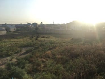 10 sot, Tikinti, Mülkiyyətçi, Kupça (Çıxarış)