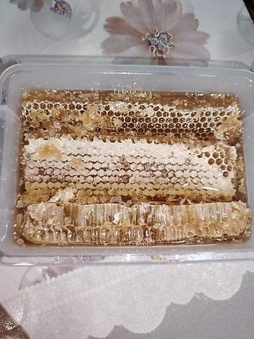 Digər: Təmiz Qax balı 1kg-35azn.Şanıda Olur. VATSAP AKTİVDİR. Balı Qaxdan — 2