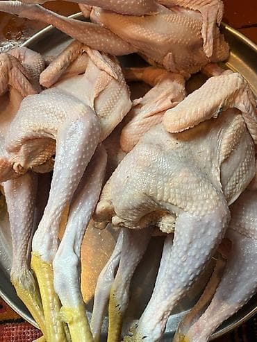 sveji toyuq: Kənd toyuğu Toyuq Bütöv, Pərakəndə — 3