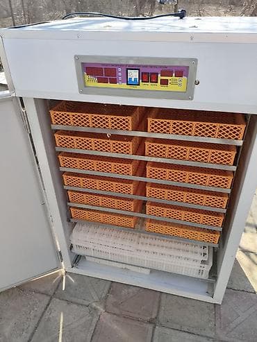 İstehsal avadanlığı: 1100 yumurta, Çin, Tam avtomat — 4