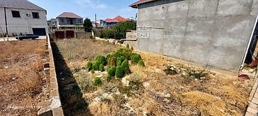 300 соток, Собственник, Купчая — 3