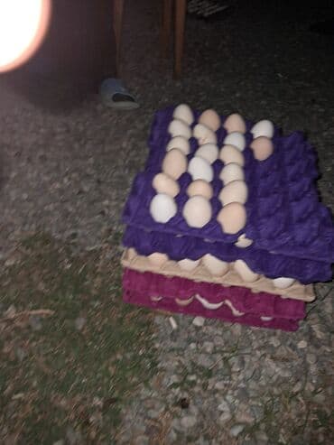 Sifarişlə hazır yeməklər: Serebris və yerli toyuqlar yumurtası satılır 95% mayalı Səlyan rayonu — 3