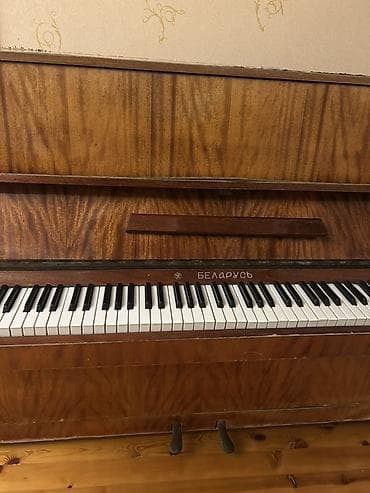 Спорт и отдых: Пианино, Беларусь, Акустический — 2