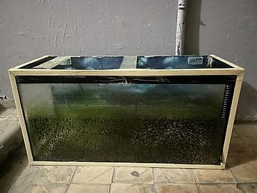Dördbucaq akvarium, Boş, 120 l lalafo.az -da Dördbucaq akvarium, Boş, 120 l