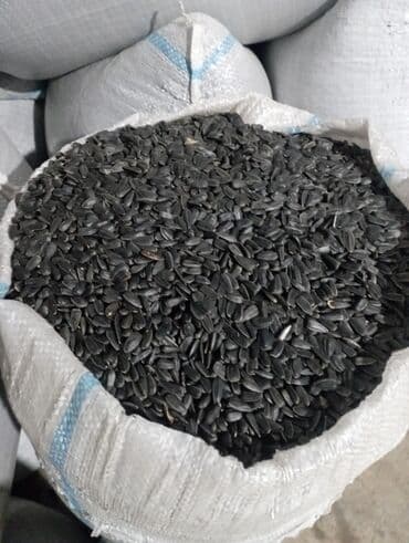 Məhsul: Günəbaxan tumu (qara qabıqlı) Təsvir: - Toxum növü: Günəbaxan