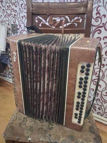 akkardion: Akustik Akkordeon — 3