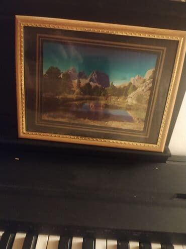 şirin pişik şəkilləri: Kartina asilqani var arxasinda yenidi hədiyəlik munasib qiymətdir — 1