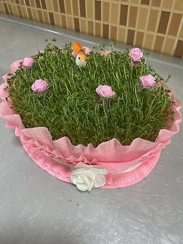 Novruz üçün bəzədilmiş səməni kompozisiyası - Dairəvi boşqabda sıx və at lalafo.az Novruz üçün bəzədilmiş səməni kompozisiyası - Dairəvi boşqabda sıx və