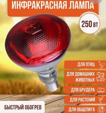 Yeni, İnfraqırmızı lampa, Ödənişli çatdırılma