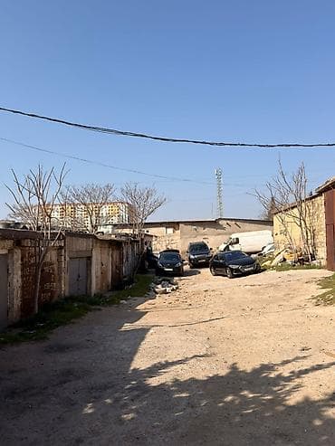 ovcharka satılır: Ehmetlide qara satilir lela sadig evinin yani yamasi var 19 kv sendei — 5