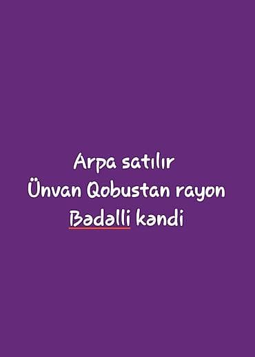 Məhsul: Arpa Təsvir: - Təmizlənmiş, ələnmiş arpa – yem və toxum