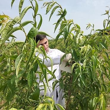 Продажи, работа с клиентами: Менеджер по продажам, Мужчина, 22 лет, 1-2 года опыта — 1