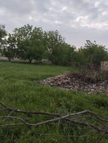 Гаражи: Samux rayonu Nebiagali kendinde torpaq sahesi satılır.Daş tökulub at lalafo.az — 2 Гаражи: Samux rayonu Nebiagali kendinde torpaq sahesi satılır.Daş tökulub — 2