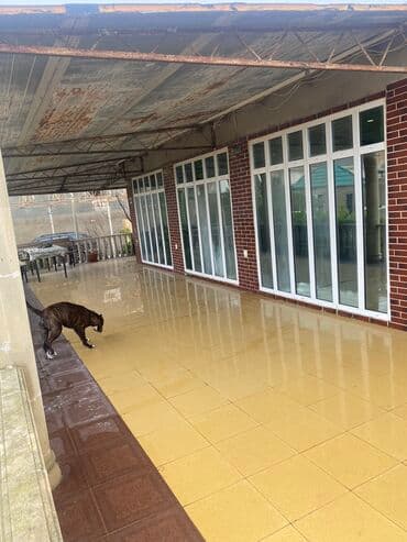 6 mkr: 120 kv. m, 3 otaqlı, Kombi, Qaz, İşıq — 22