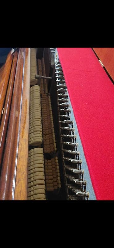 Zərb alətləri: Piano, Belarus, Akustik, İşlənmiş — 5