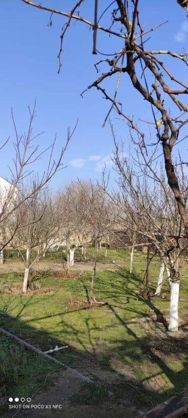 dübəndi torpaq: 11 sot, Makler, Kupça (Çıxarış) — 4