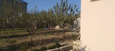 kiraye evler zabrat 2023: 1 otaqlı, 15 kv. m, Kredit yoxdur, Yeni təmirli — 4