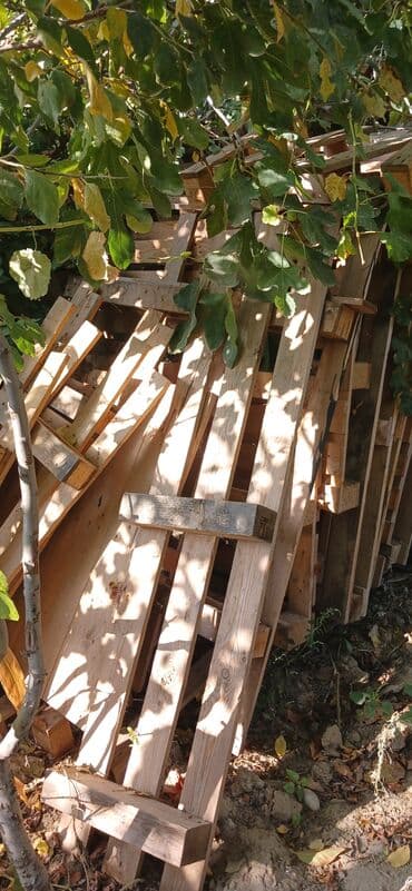 parket topdan satis: Taxta paletlər – müxtəlif ölçülərdə Məhsul təsviri: - Şəkillərdə — 2