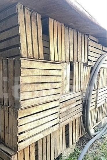 beton panellərin satışı: Alma yeşiyi Taxta yeşiklər – tərəvəz, meyvə və ümumi yüklərin — 4