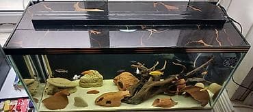 сколько стоит аквариум: Пустой, 96 л, Самовывоз, Платная доставка — 2