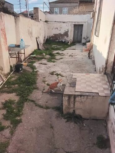покупка и продажа жилья: Пос. М. Э. Расулзаде 4 комнаты, 320 м², Без ремонта — 5
