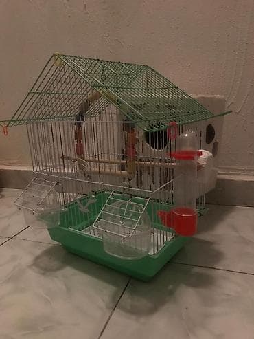 Pişiklər: Quş qəfəsi – aksessuarlarla - Material: metaldan barmaqlıqlar — 1