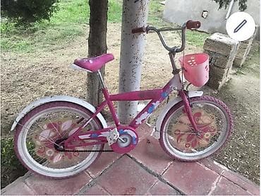 İncəsənət və kolleksiyalar: Velosibed — 1