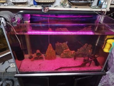 фильтр для аквариума: Akvaryum komplekti – şkaflı, sump filtrasiyalı - Şəffaf ön və yan — 7