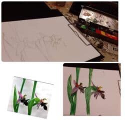 müəllim şəkilləri: İncəsənət müəllimi, Rəssamlıq, 5 ildən artıq təcrübə — 7