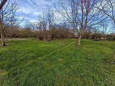 16 sot, Tikinti, Mülkiyyətçi, Kupça (Çıxarış)