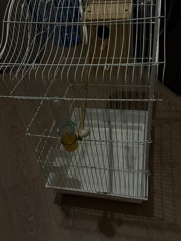 pişiy yuvası: Quş qəfəsi dəsti - Material: ağ rəngli metal barmaqlıqlar, plastik — 1