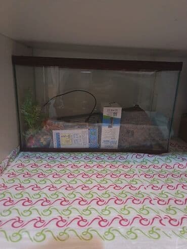 купить аквариум в баку: Аквариумы — 2