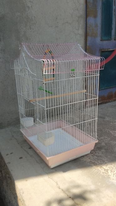 qefes: Böyük ölçülü quş qəfəsi 60 azn - Material: Ağ rəngli möhkəm metal — 3