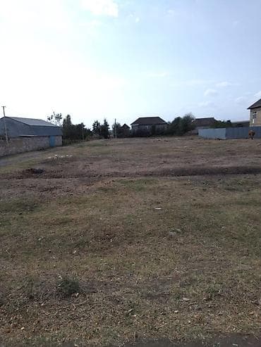 2133 sot, Biznes üçün, Maklerlər narahat etməsin, Kupça (Çıxarış)