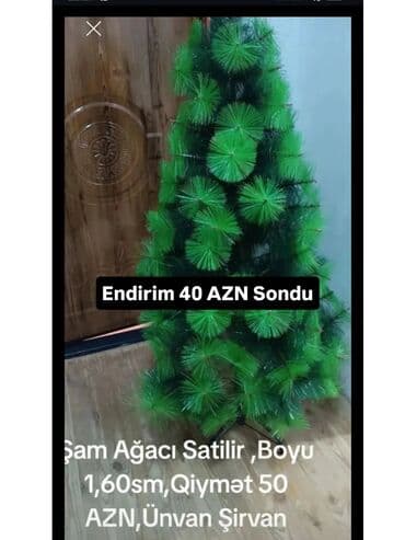 Digər ev dekoru: Məhsul: Süni Şam Ağacı - Boyu: 1,60 m (şəkildə göstərilib) - — 3