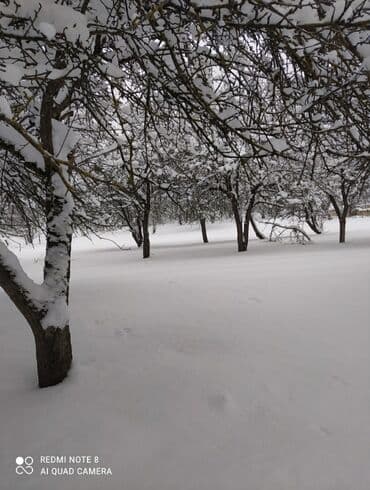 xacmazda torpaq: 48 соток, Для строительства, Собственник, Бялядия (муниципалитет) — 6