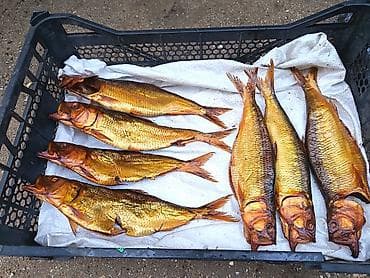 mələk tortu: Məhsul: Tütsülənmiş balıq Təsvir: - Qızılı rəngli, bütöv şəkildə — 4