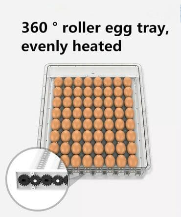 inkubator 56: Fabrik istehsalı, Tam avtomat, Bütün növ quşlaq üçün — 2