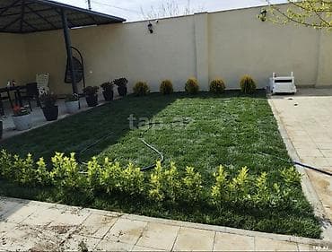 Ландшафтные работы: Qazon və landşaft abadlaşdırılması xidməti - Həyətyanı sahələr, bağ — 3