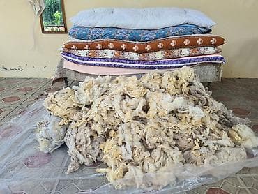 alisa home tekstil: Təbii qoyun yunu yuyulmuş didilmiş temiz. 1kl - 5Azn — 1