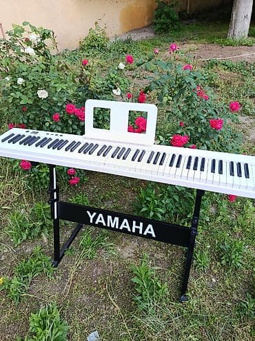 mp 3 player: Təzədir. Piano kursuna başlayanlar üçün,Piano müəllimləri üçün — 3