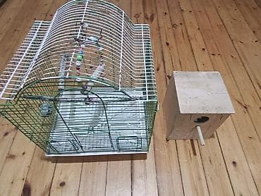 taxta yuva: Quş qəfəsi və yuvalıq dəsti - Rəng: yaşıl-ağ metal karkaslı qəfəs, ağ — 1