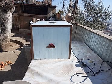 Ev şəraitində quş yumurtalarının çıxarılması üçün elektrikli inkubator